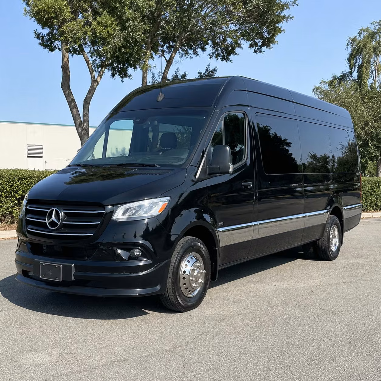 sprinter van with driver
